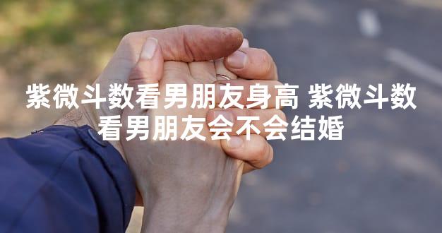 紫微斗数看男朋友身高 紫微斗数看男朋友会不会结婚